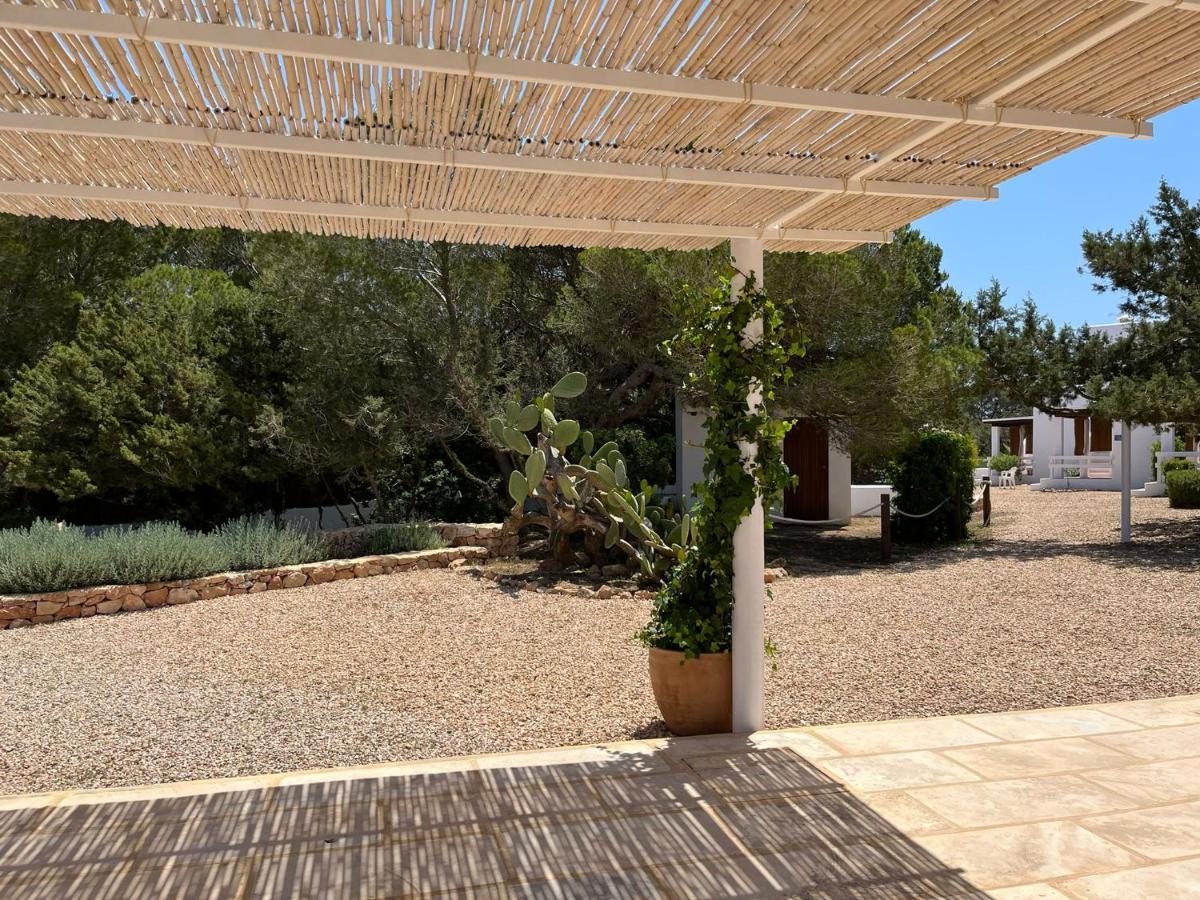 Chumbera Formentera Landhaus