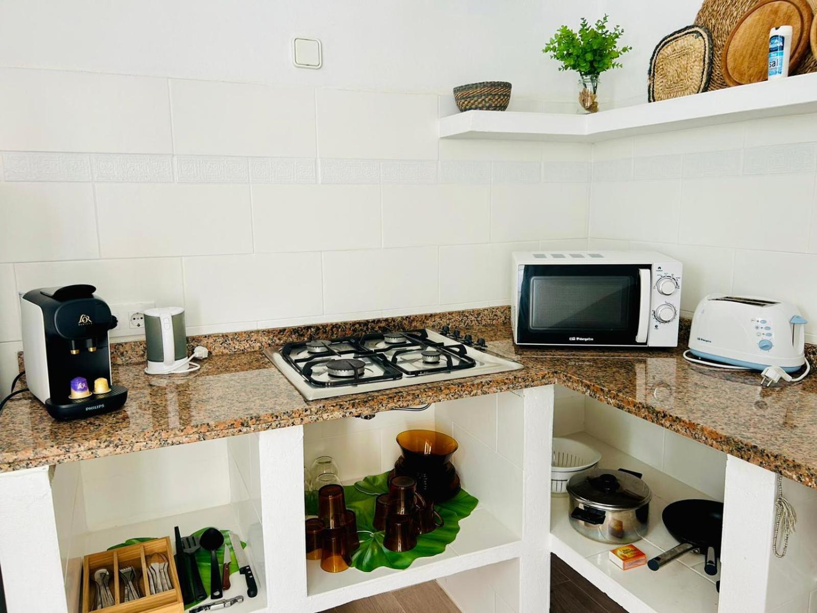 Chumbera Formentera Landhaus Cala Saona